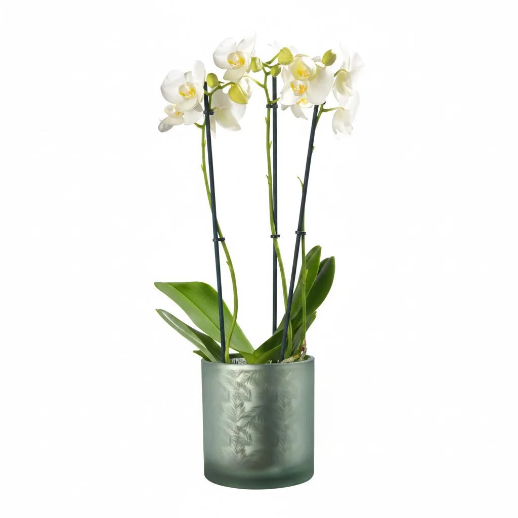 Vase Übertopf aus Glas grün silber mit Blattmuster 24,5cm
