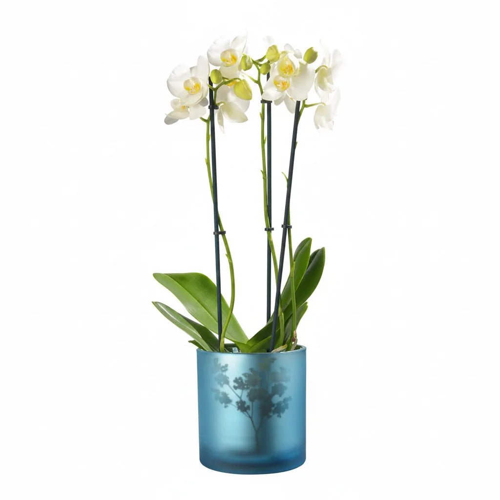 Vase Übertopf aus Glas blau silber mit Blumen 20cm