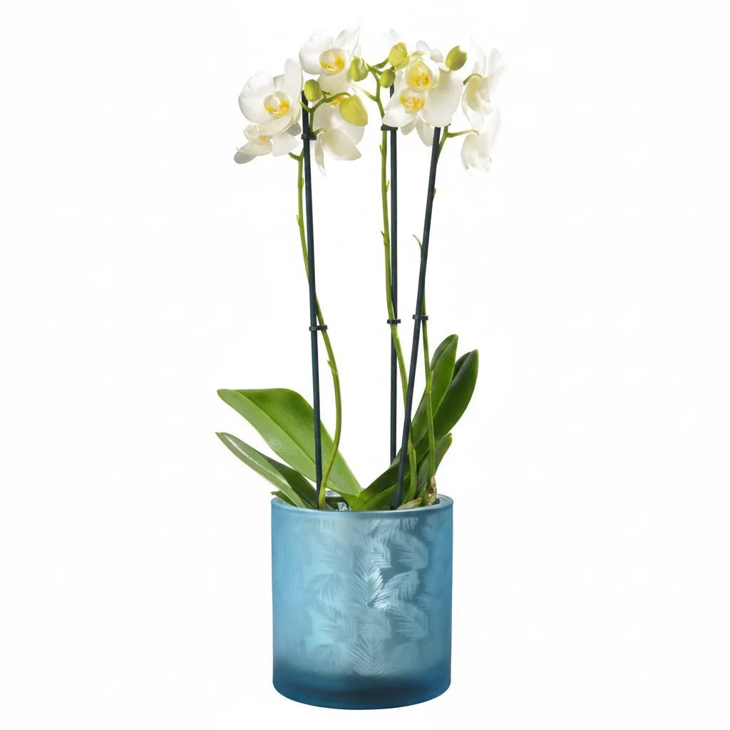 Windlicht Vase aus Glas blau silber mit Blattmuster 15cm