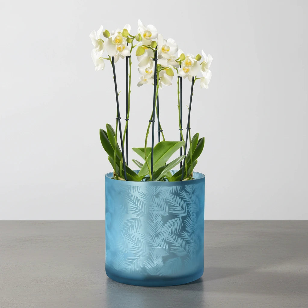 Windlicht Vase aus Glas blau silber mit Blattmuster 20cm