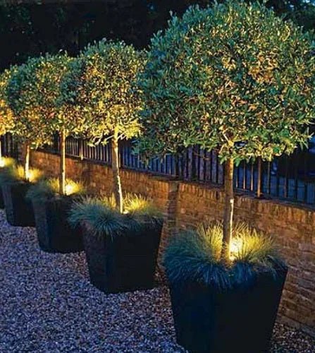 Power LED Gartenstrahler Positano mit Erdspieß